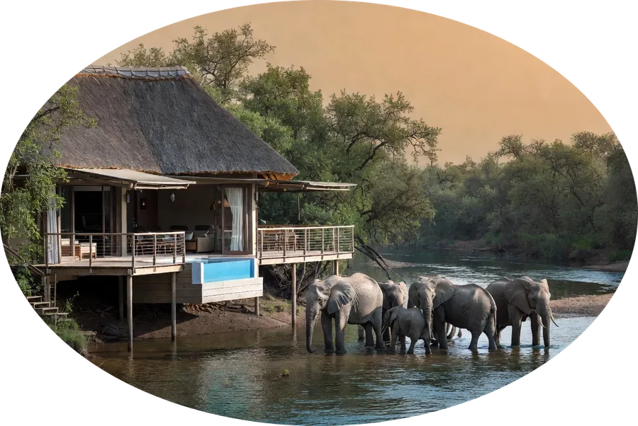 Luxury safari lodge deck with wildlife views