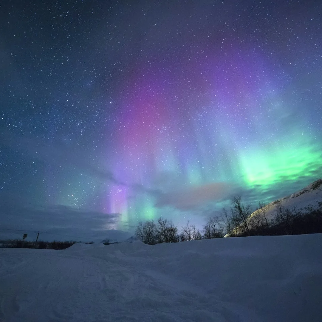Hurtigruten Northern Lights
