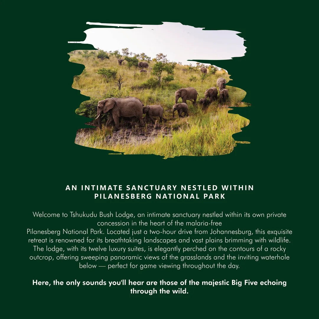 Elephants in malaria-free Pilanesberg National Park - Tshukudu SMM54 flyer